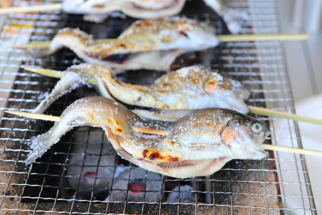 釣って焼いて味わう