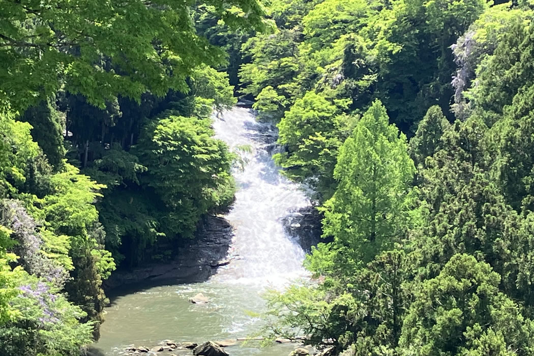 養老の滝展望台