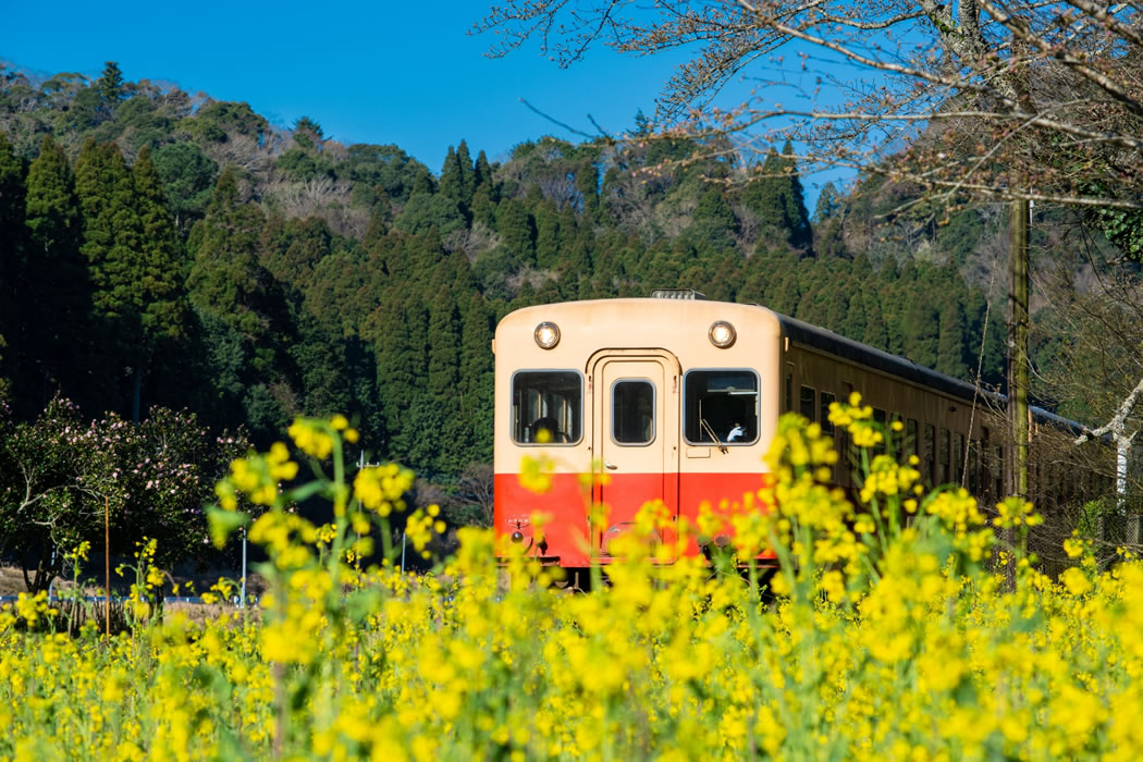 養老渓谷駅