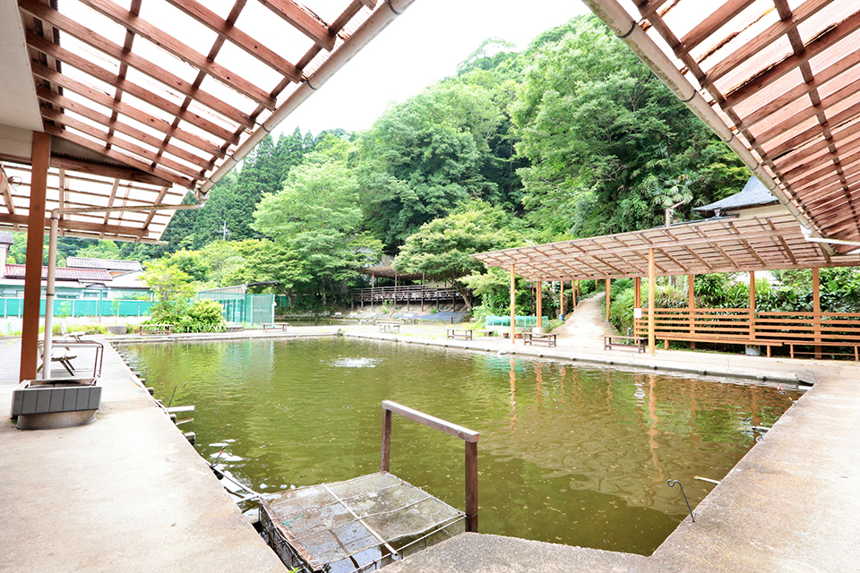 養老渓谷釣堀センター